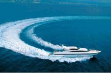 Mangusta 'Bellissimma CC 107'